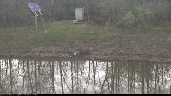 Basin Inflow_24-04-17_08-36-44-52