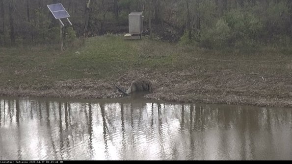 Basin Inflow_24-04-17_09-43-44-52