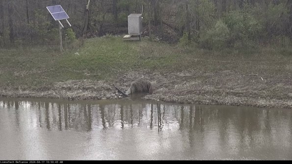 Basin Inflow_24-04-17_10-50-43-46