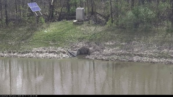 Basin Inflow_24-04-17_11-24-13-32