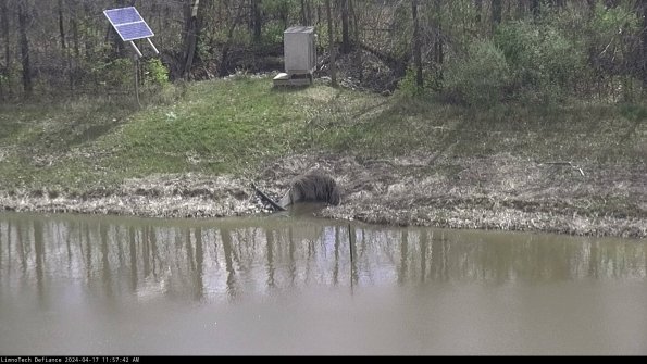 Basin Inflow_24-04-17_11-57-43-30