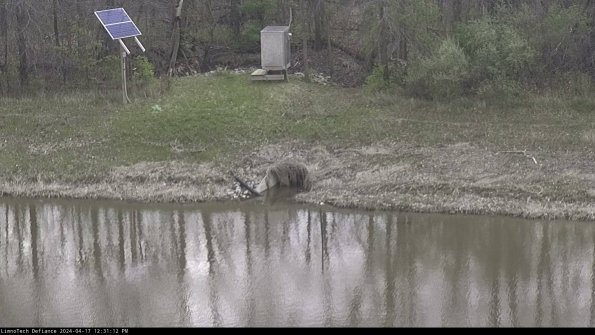 Basin Inflow_24-04-17_12-31-12-45