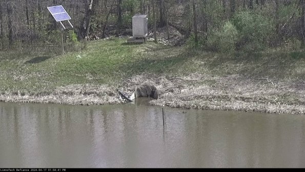 Basin Inflow_24-04-17_13-04-42-31