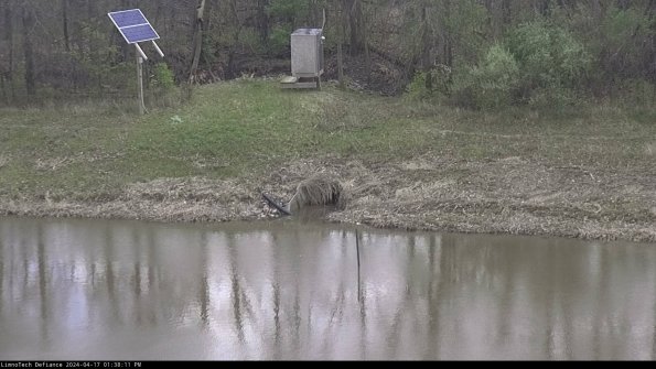 Basin Inflow_24-04-17_13-38-11-53