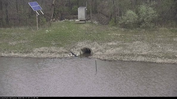 Basin Inflow_24-04-17_19-13-10-33