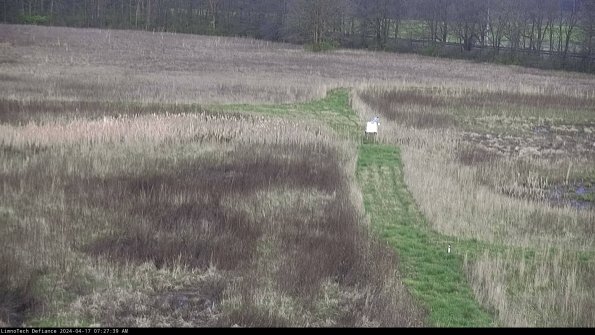 Cell 1 to 2_24-04-17_07-27-40-32