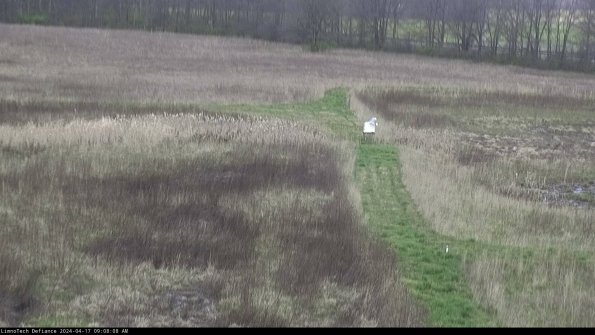 Cell 1 to 2_24-04-17_09-08-09-31