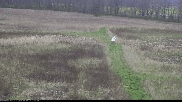 Cell 1 to 2_24-04-17_10-15-09-32