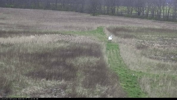 Cell 1 to 2_24-04-17_11-22-07-32