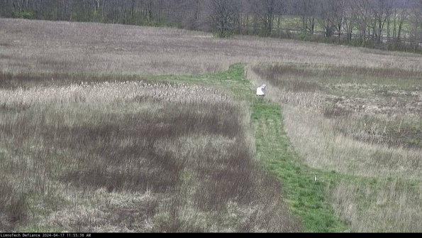 Cell 1 to 2_24-04-17_11-55-37-34