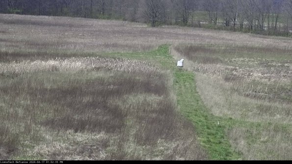 Cell 1 to 2_24-04-17_13-02-36-32