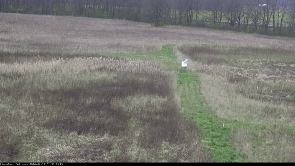 Cell 1 to 2_24-04-17_13-36-06-34