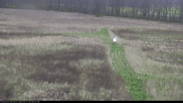 Cell 1 to 2_24-04-17_14-09-36-32