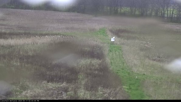 Cell 1 to 2_24-04-17_14-43-05-31