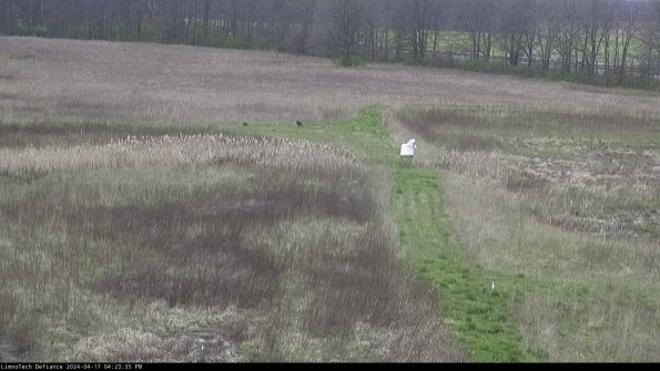 Cell 1 to 2_24-04-17_16-23-36-31