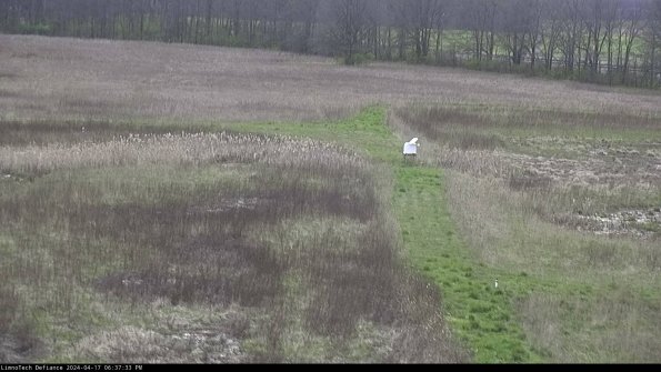 Cell 1 to 2_24-04-17_18-37-34-32