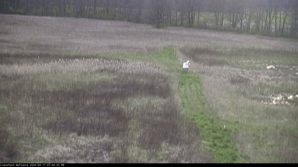 Cell 1 to 2_24-04-17_19-44-34-33