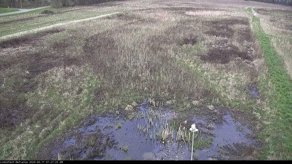 Cell 1_24-04-17_07-27-26-31