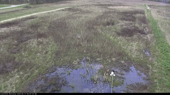 Cell 1_24-04-17_09-07-55-33