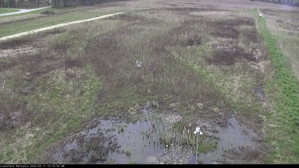 Cell 1_24-04-17_10-14-55-30