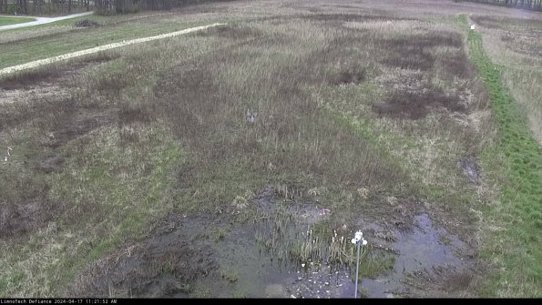 Cell 1_24-04-17_11-21-53-31