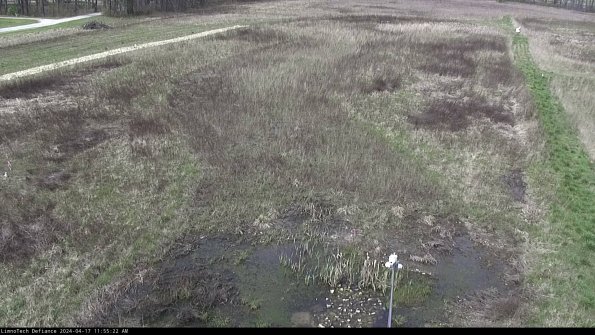 Cell 1_24-04-17_11-55-23-33