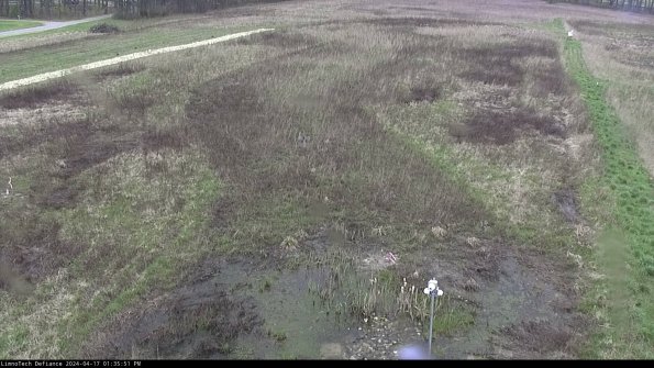 Cell 1_24-04-17_13-35-52-32