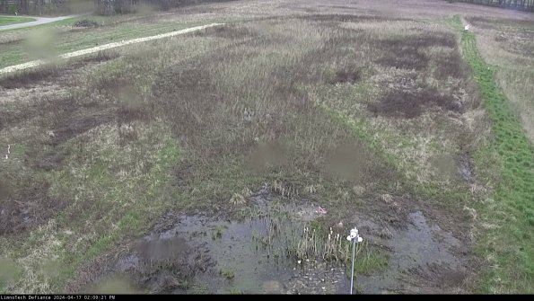 Cell 1_24-04-17_14-09-22-31