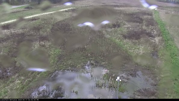 Cell 1_24-04-17_14-42-51-33