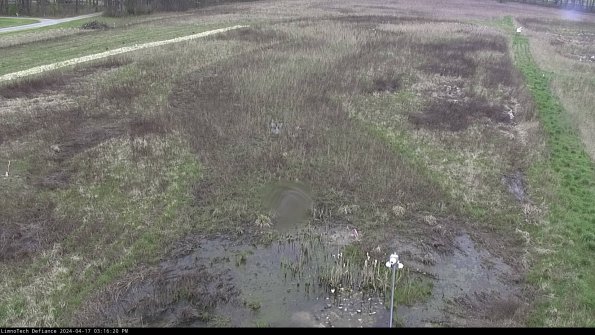 Cell 1_24-04-17_15-16-21-32