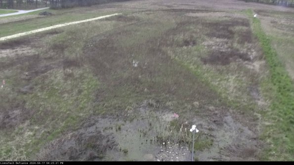 Cell 1_24-04-17_16-23-22-33