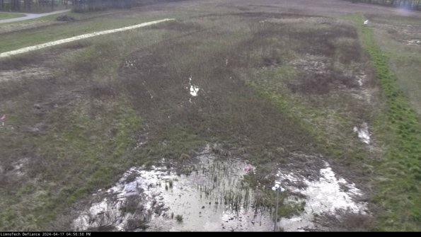 Cell 1_24-04-17_16-56-51-31