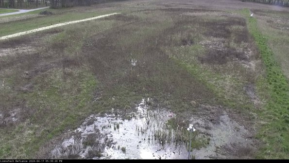 Cell 1_24-04-17_17-30-21-33