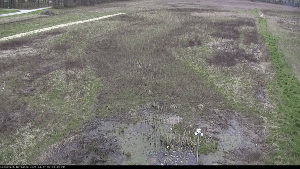 Cell 1_24-04-17_19-10-50-32