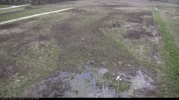 Cell 1_24-04-17_19-44-20-31