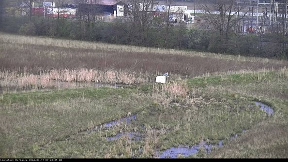 Cell 2 to 3_24-04-17_07-28-06-41