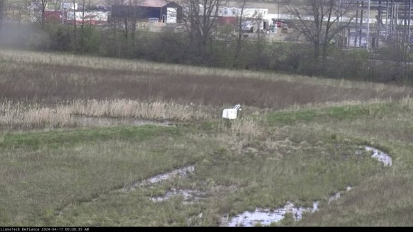 Cell 2 to 3_24-04-17_09-08-35-54