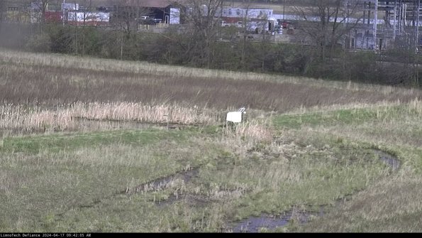 Cell 2 to 3_24-04-17_09-42-05-52