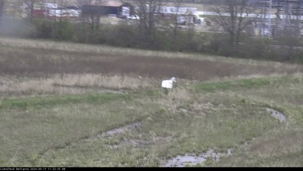 Cell 2 to 3_24-04-17_11-22-33-48