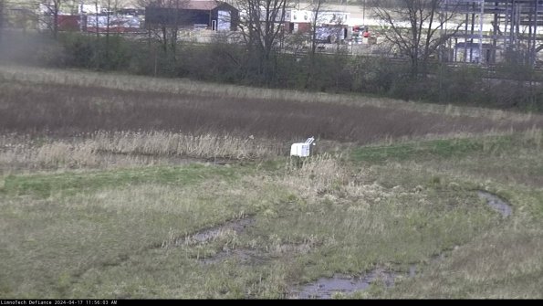 Cell 2 to 3_24-04-17_11-56-03-50