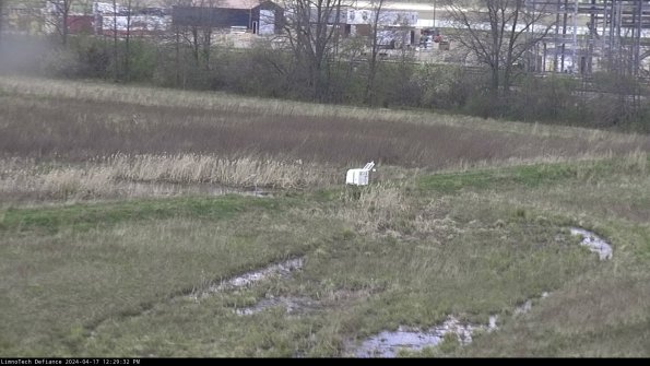 Cell 2 to 3_24-04-17_12-29-33-42