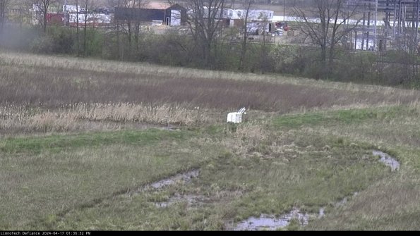 Cell 2 to 3_24-04-17_13-36-32-43