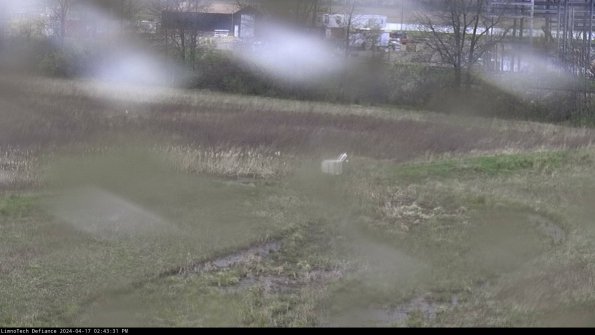 Cell 2 to 3_24-04-17_14-43-31-47