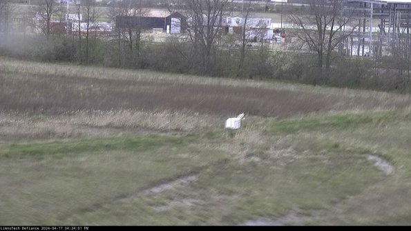 Cell 2 to 3_24-04-17_16-24-02-40