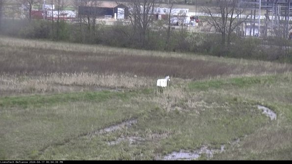 Cell 2 to 3_24-04-17_18-04-31-43