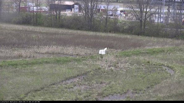 Cell 2 to 3_24-04-17_18-38-00-45