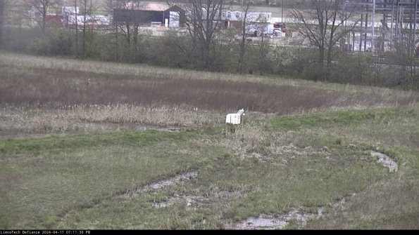 Cell 2 to 3_24-04-17_19-11-30-46