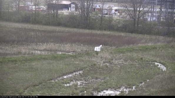 Cell 2 to 3_24-04-17_19-45-00-45