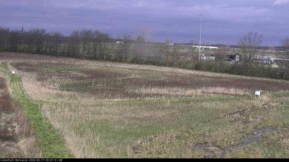 Cell 2_24-04-17_09-41-52-38