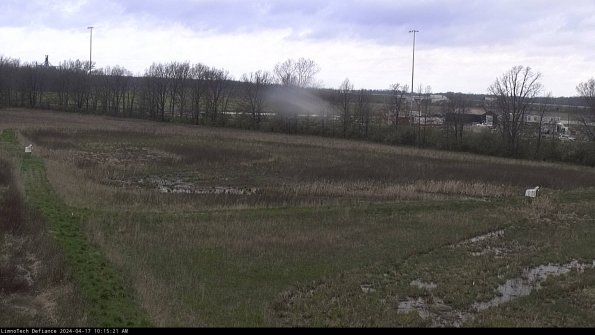 Cell 2_24-04-17_10-15-22-36